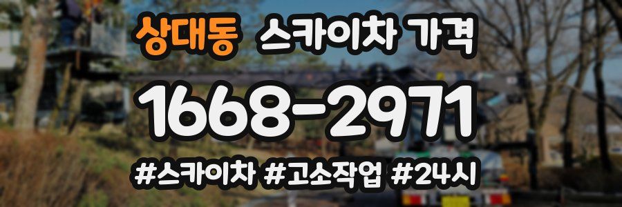 상대동 스카이차 가격