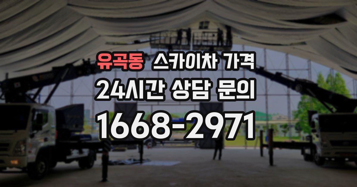 유곡동 스카이차 가격