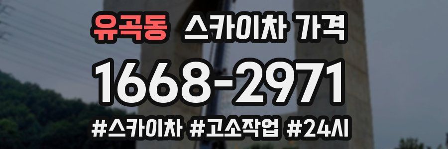 유곡동 스카이차 가격