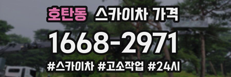 호탄동 스카이차 가격