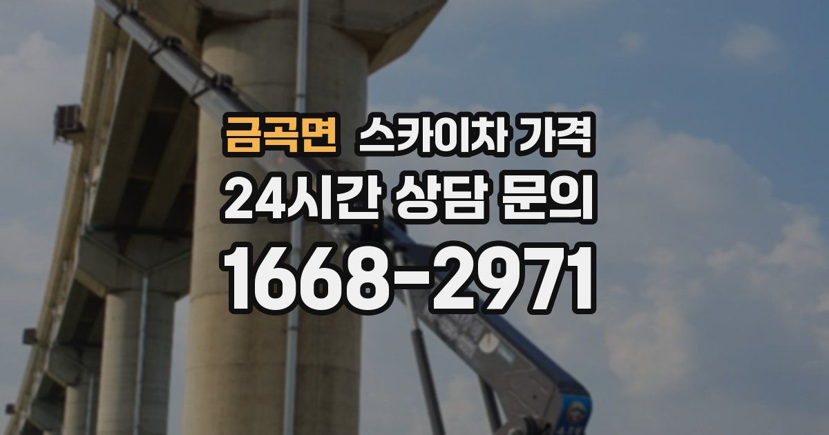 금곡면 스카이차 가격