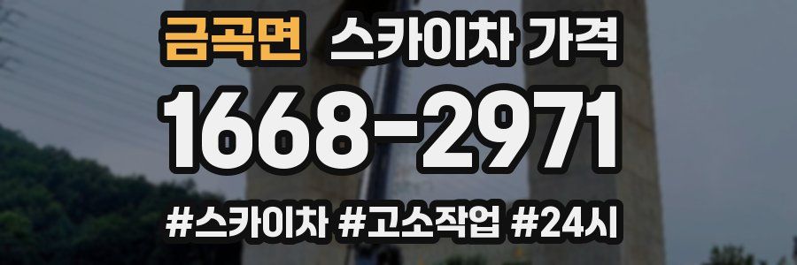 금곡면 스카이차 가격