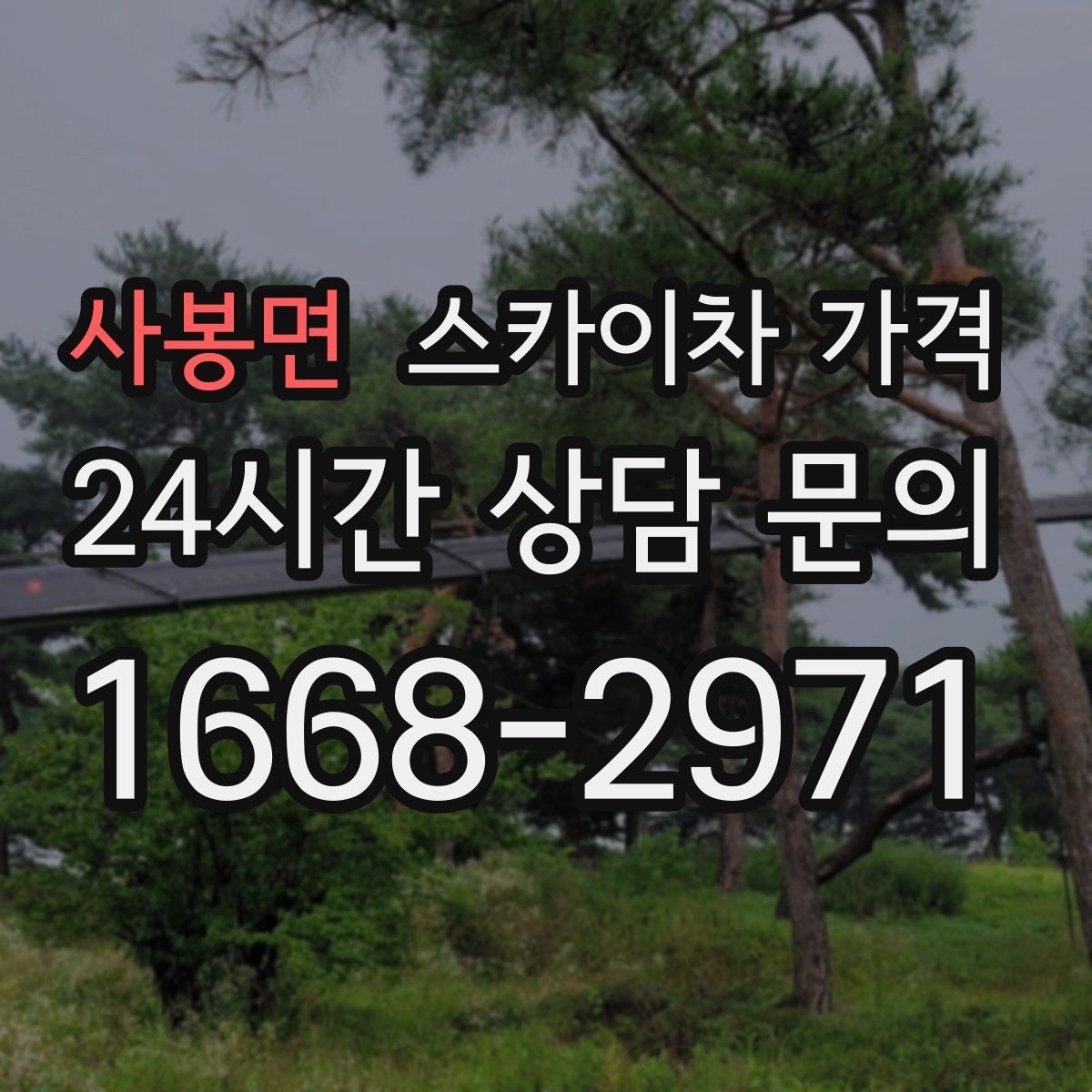 사봉면 스카이차 가격