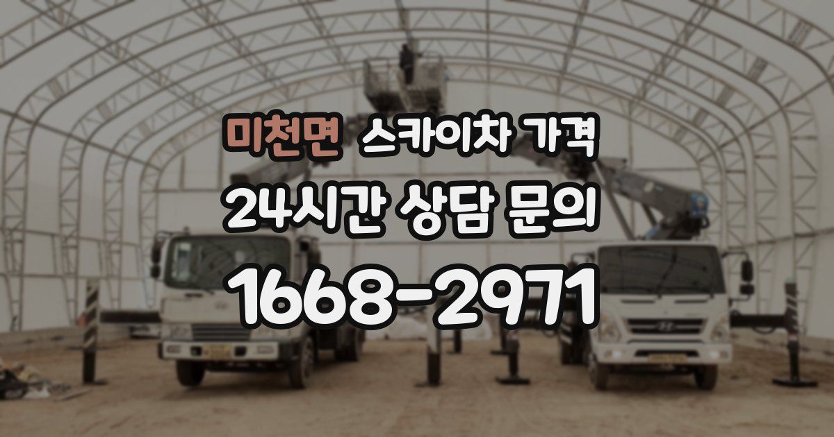 미천면 스카이차 가격