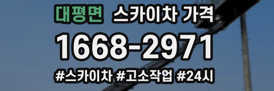 대평면 스카이차 가격