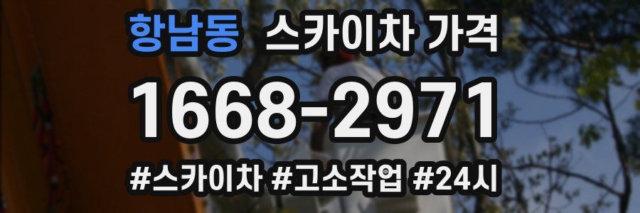 항남동 스카이차 가격