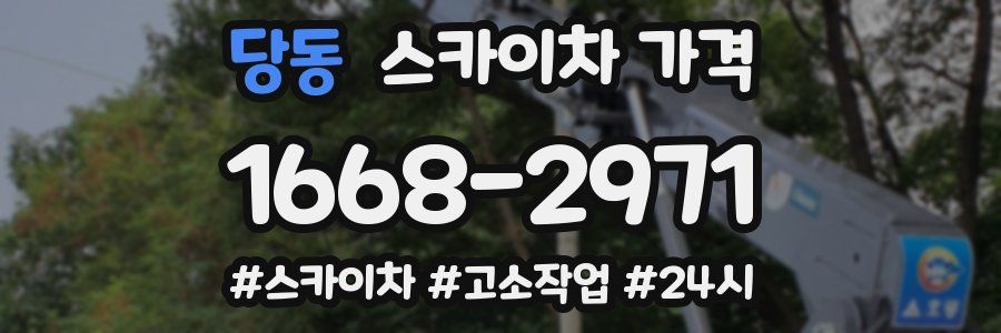 당동 스카이차 가격