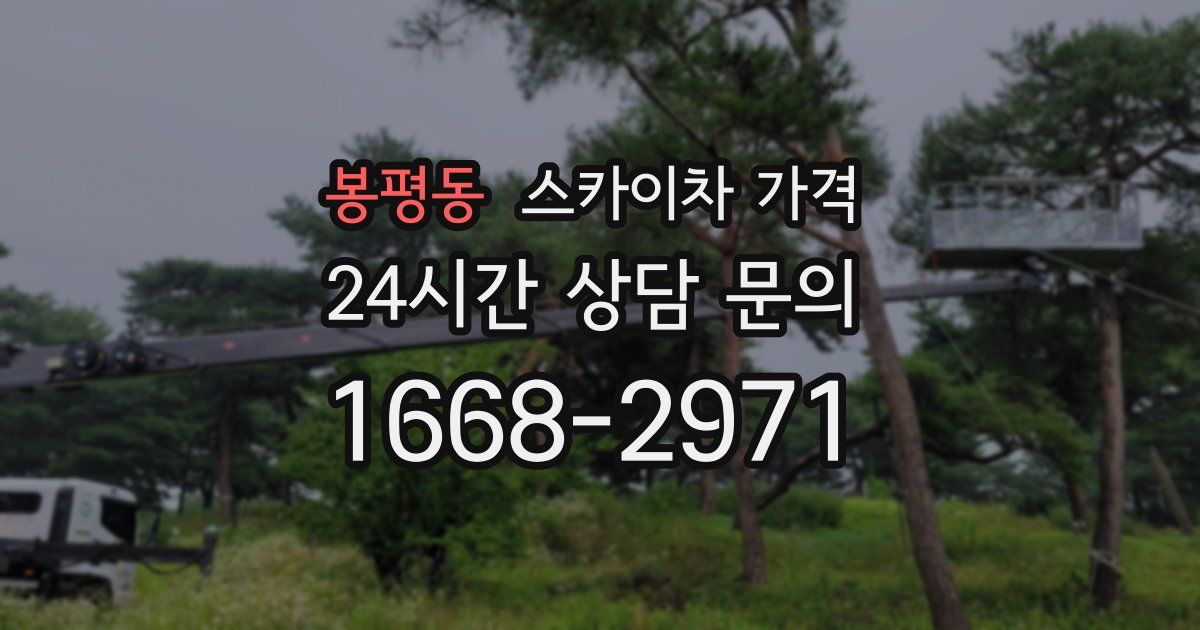 봉평동 스카이차 가격