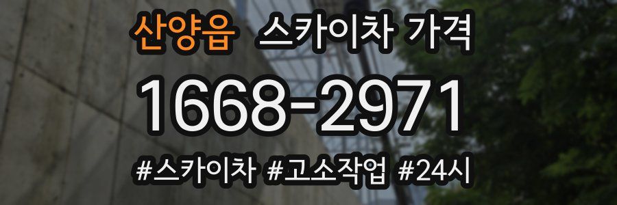 산양읍 스카이차 가격