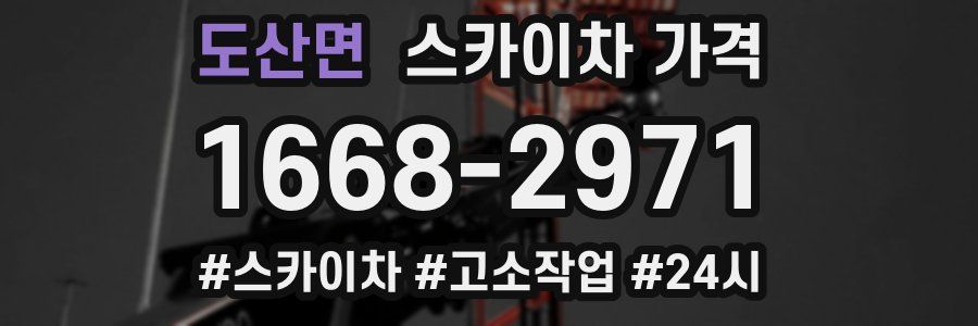 도산면 스카이차 가격