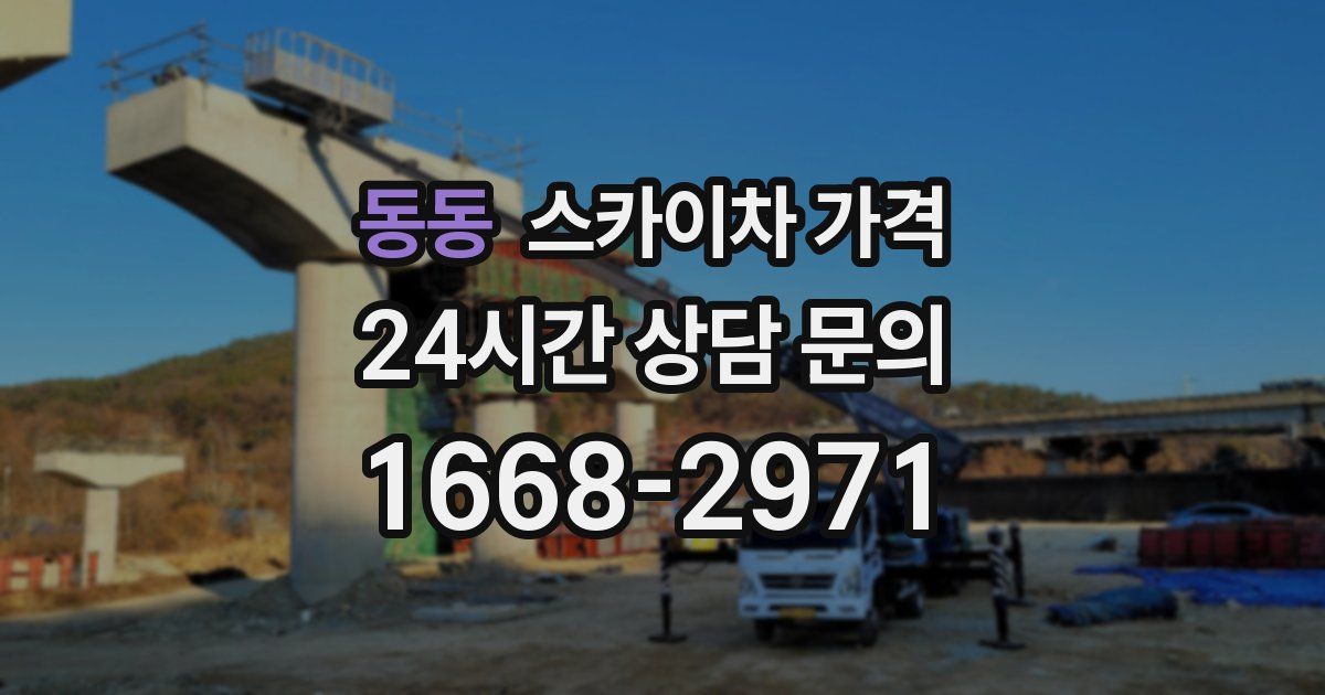 동동 스카이차 가격