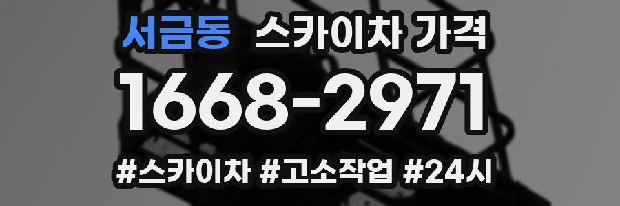 서금동 스카이차 가격