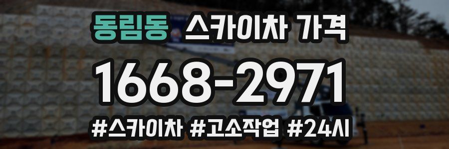 동림동 스카이차 가격