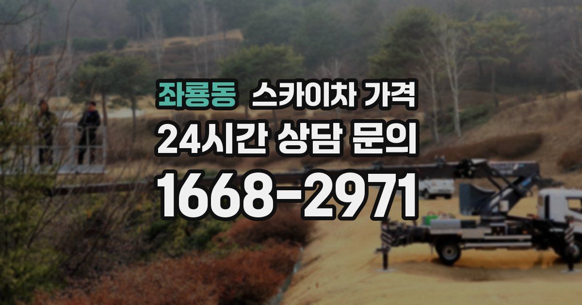 좌룡동 스카이차 가격