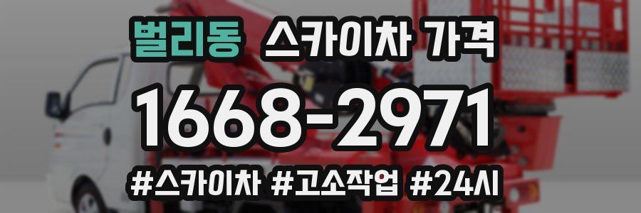 벌리동 스카이차 가격