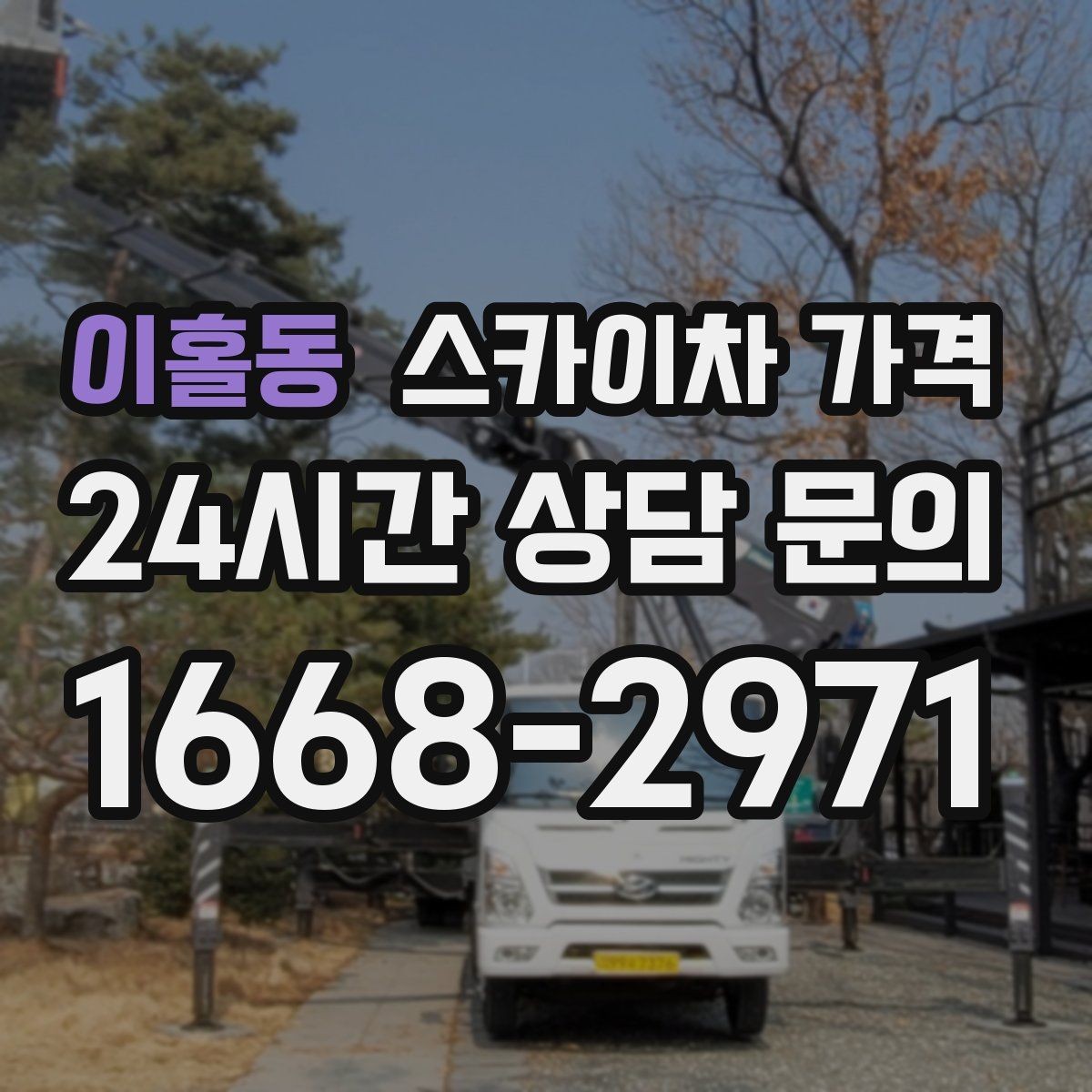 이홀동 스카이차 가격 날씨 변수까지 감안한 일정 잡는 방법