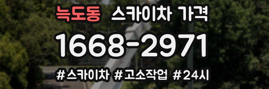 늑도동 스카이차 가격