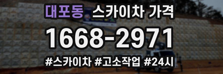 대포동 스카이차 가격