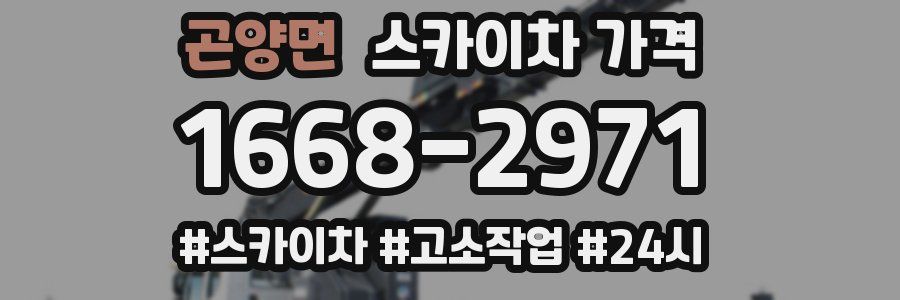 곤양면 스카이차 가격