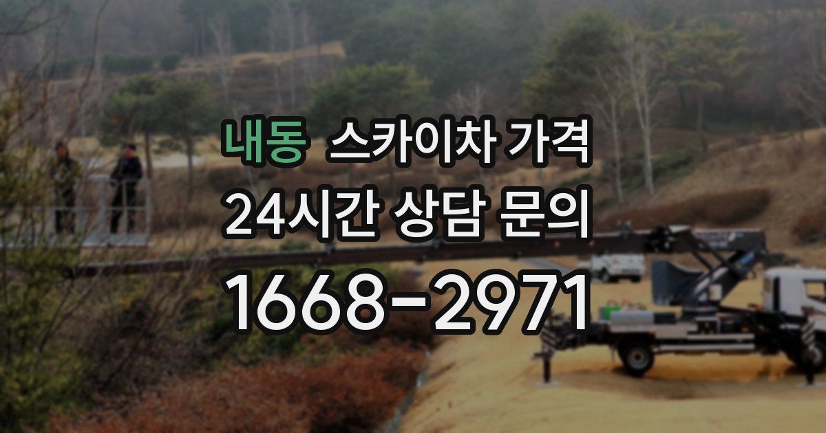 내동 스카이차 가격