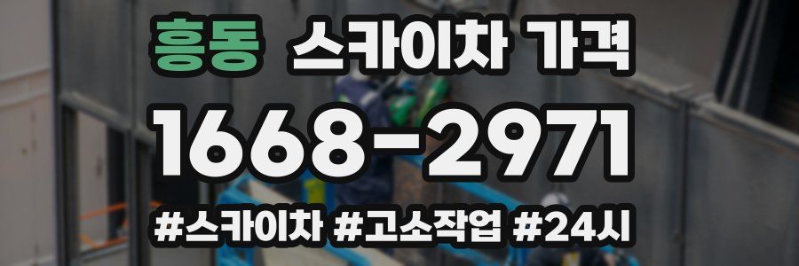 흥동 스카이차 가격