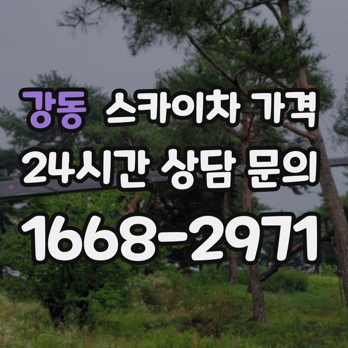 강동 스카이차 가격