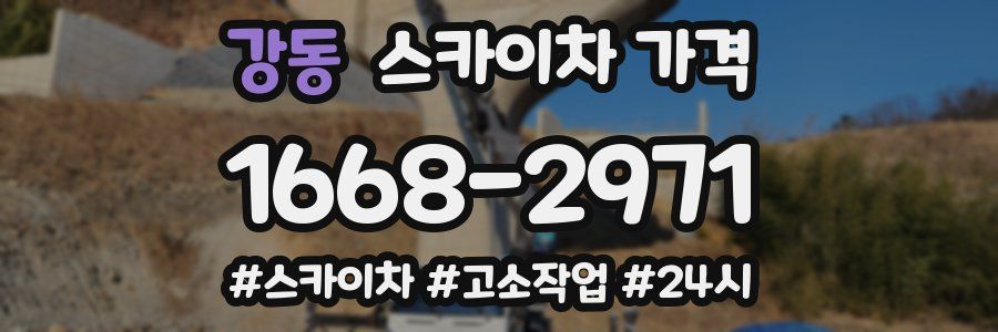 강동 스카이차 가격