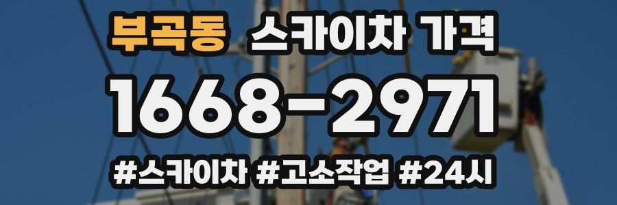 부곡동 스카이차 가격