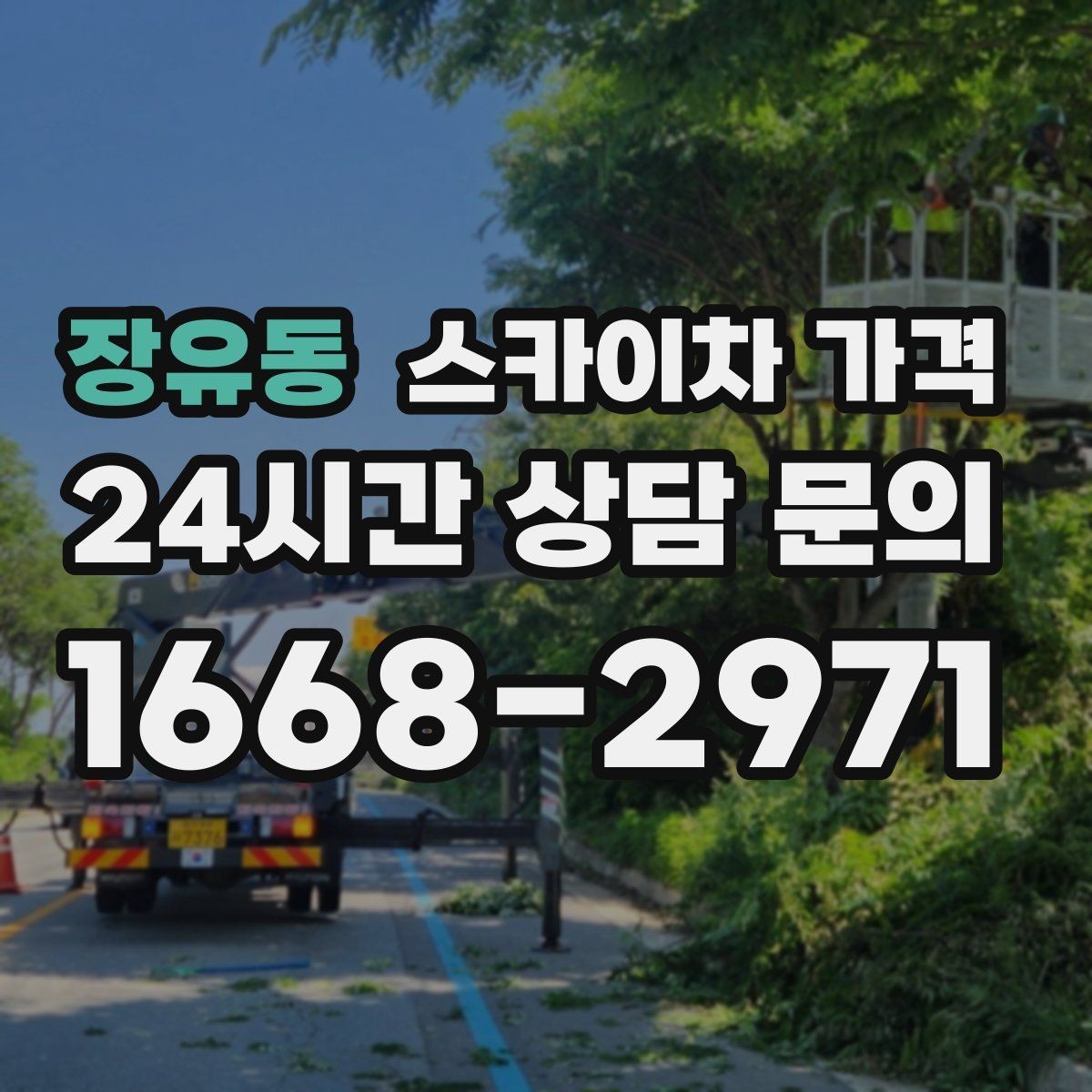 장유동 스카이차 가격 급한 작업일수록 정보가 정확해야 합니다