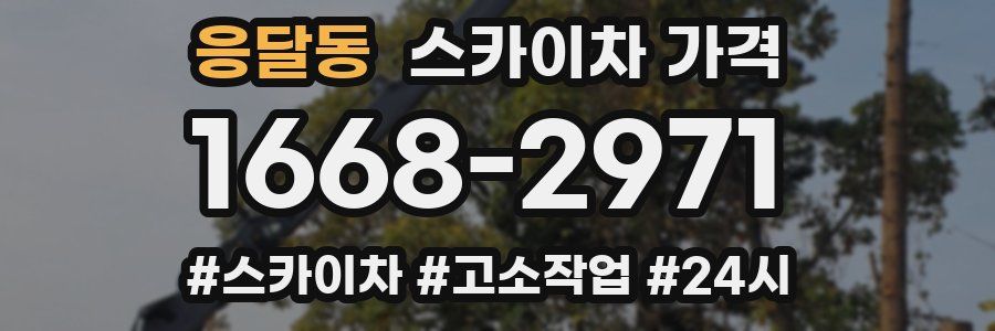 응달동 스카이차 가격