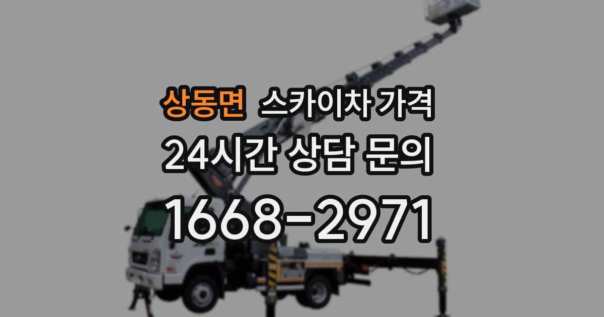 상동면 스카이차 가격