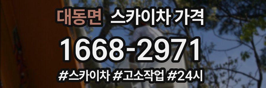 대동면 스카이차 가격