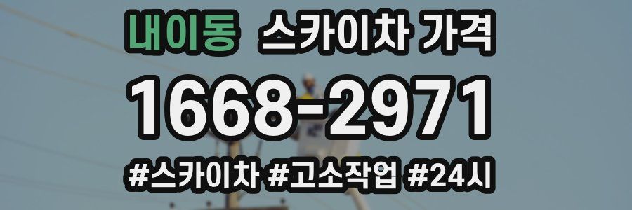 내이동 스카이차 가격