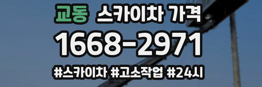 교동 스카이차 가격