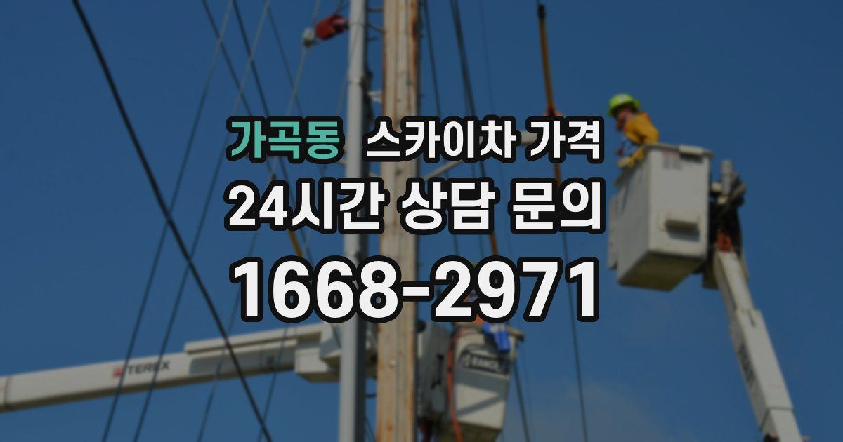 가곡동 스카이차 가격