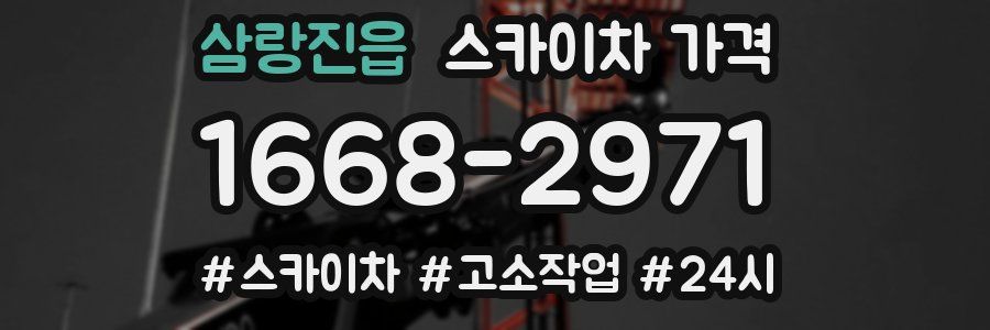 삼랑진읍 스카이차 가격