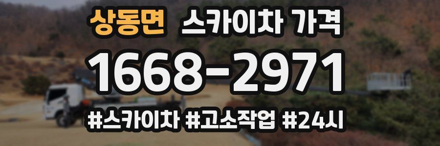 상동면 스카이차 가격