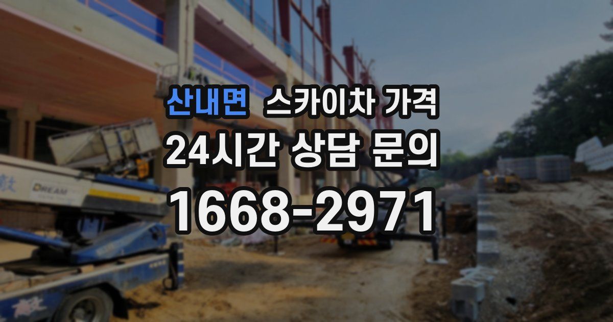 산내면 스카이차 가격