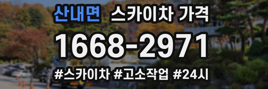 산내면 스카이차 가격