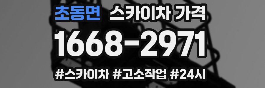 초동면 스카이차 가격