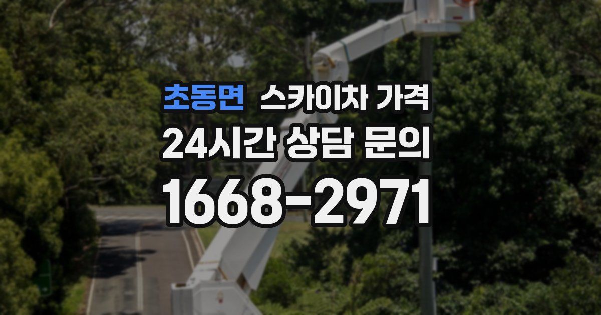 초동면 스카이차 가격