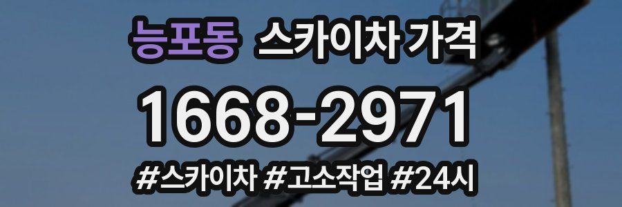 능포동 스카이차 가격