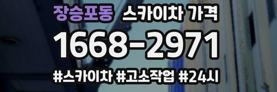 장승포동 스카이차 가격