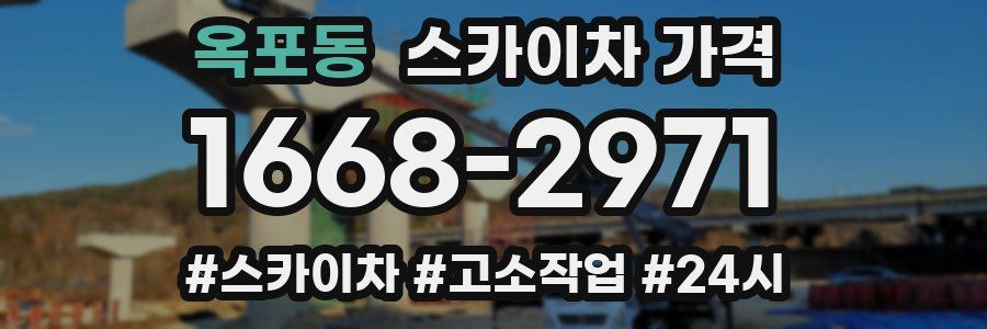 옥포동 스카이차 가격