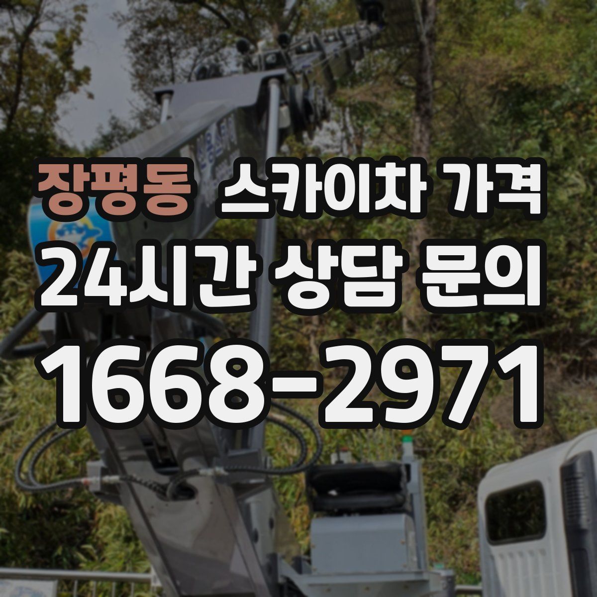 장평동 스카이차 가격