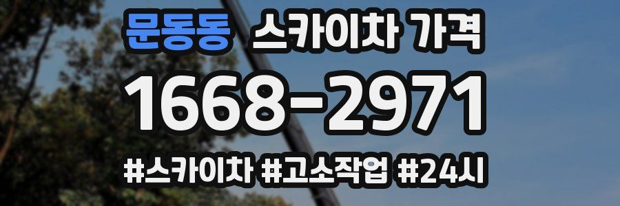 문동동 스카이차 가격