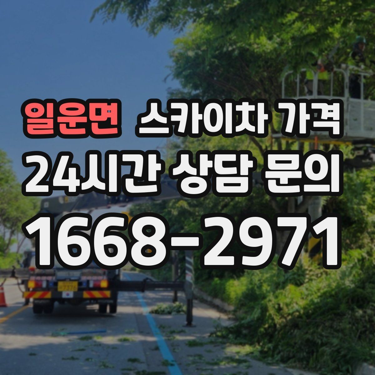 일운면 스카이차 가격 외벽 실리콘 보수는 구간이 핵심입니다