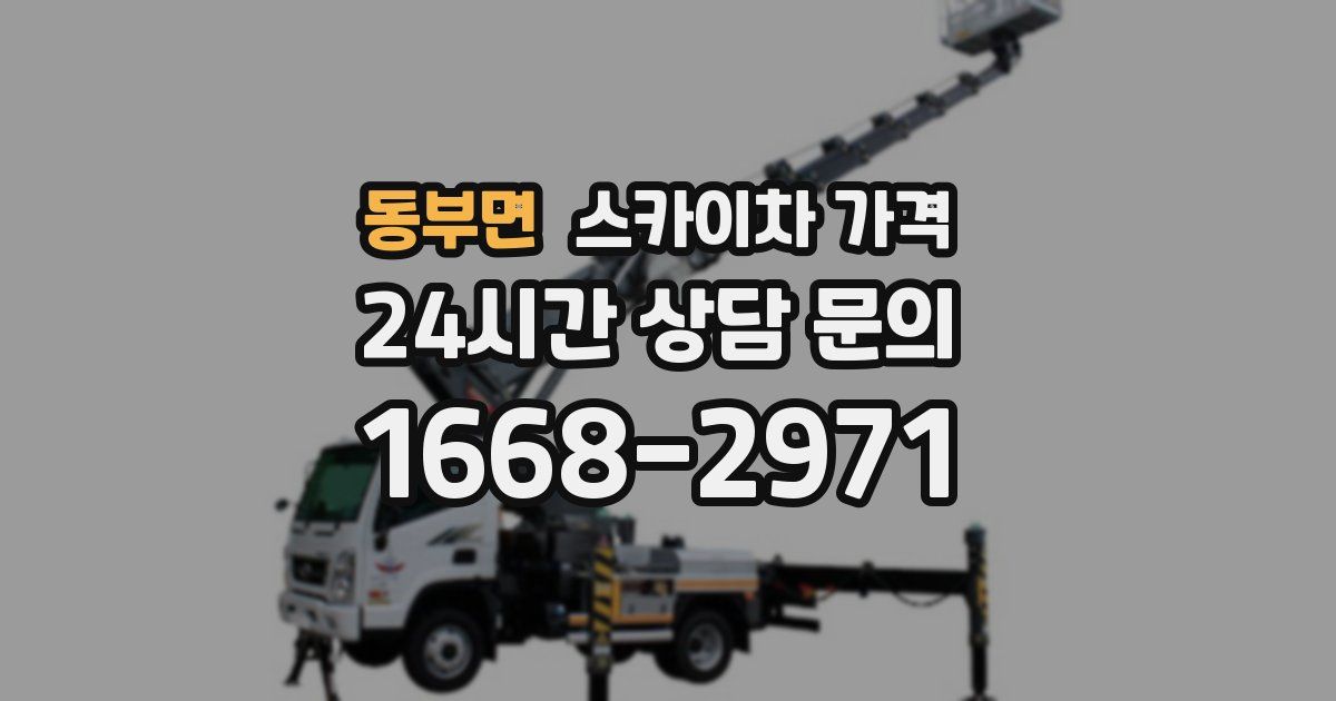 동부면 스카이차 가격