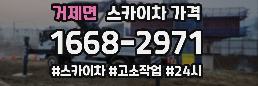 거제면 스카이차 가격