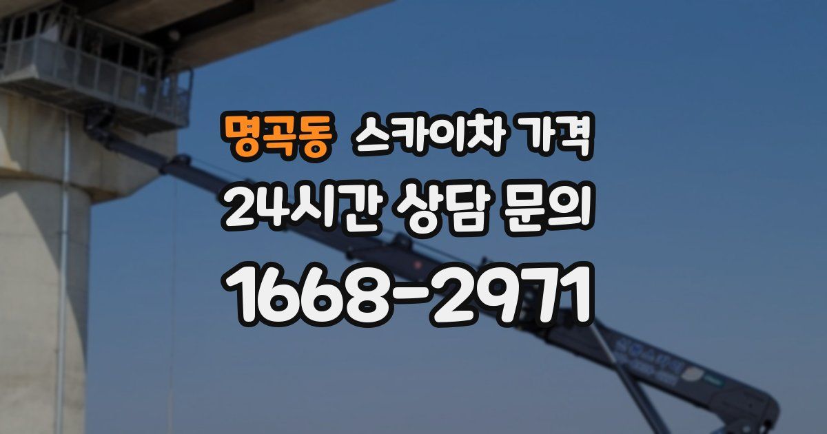 명곡동 스카이차 가격